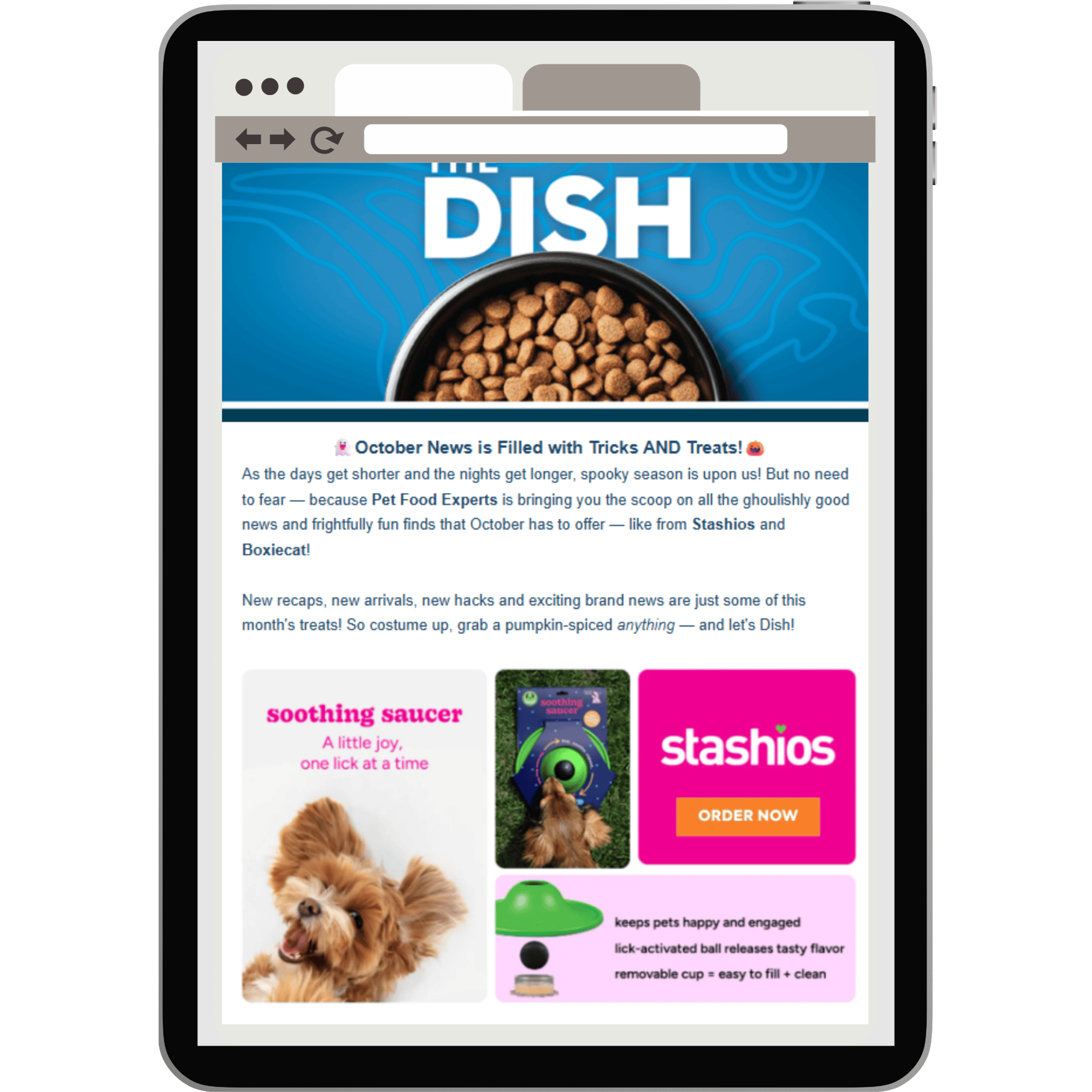 Stashios eBlast Mockup