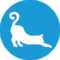 Rad Cat