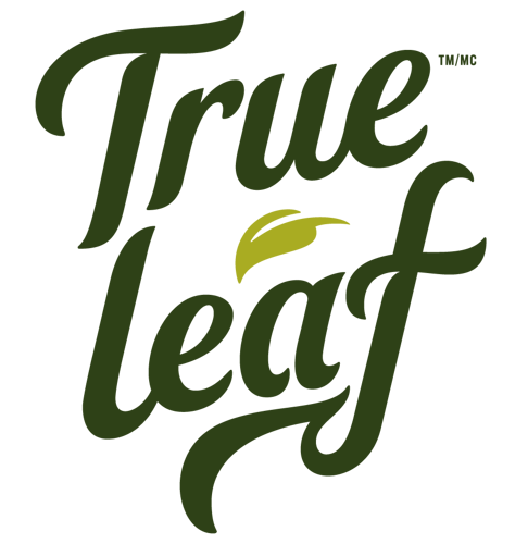 True Leaf