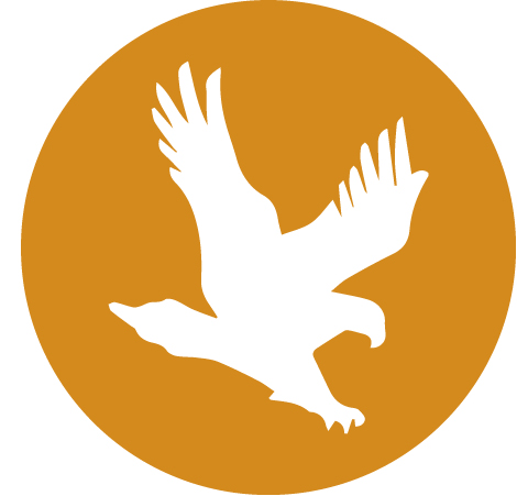Eagle Pack