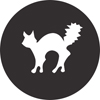 Fussie Cat