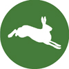 Hare of the Dog