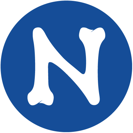 N-Bone