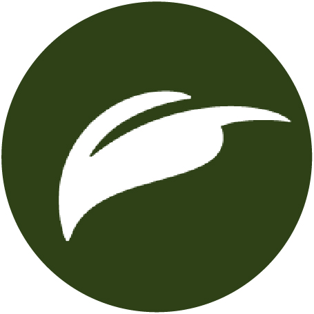 True Leaf